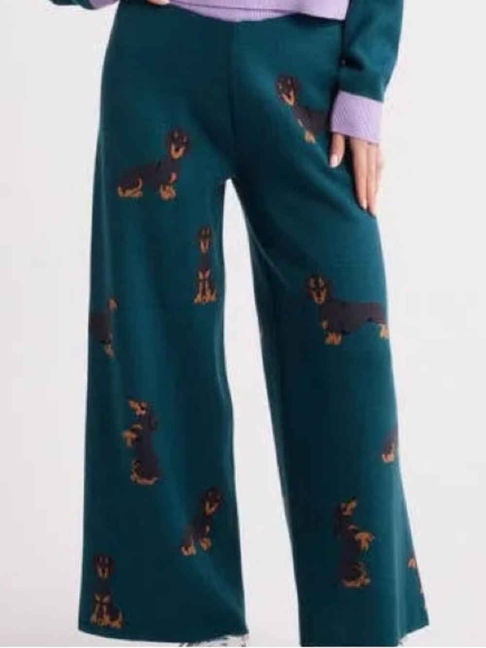 NWOT Dressed in LaLa Sweater Pants with Dachshund Motif